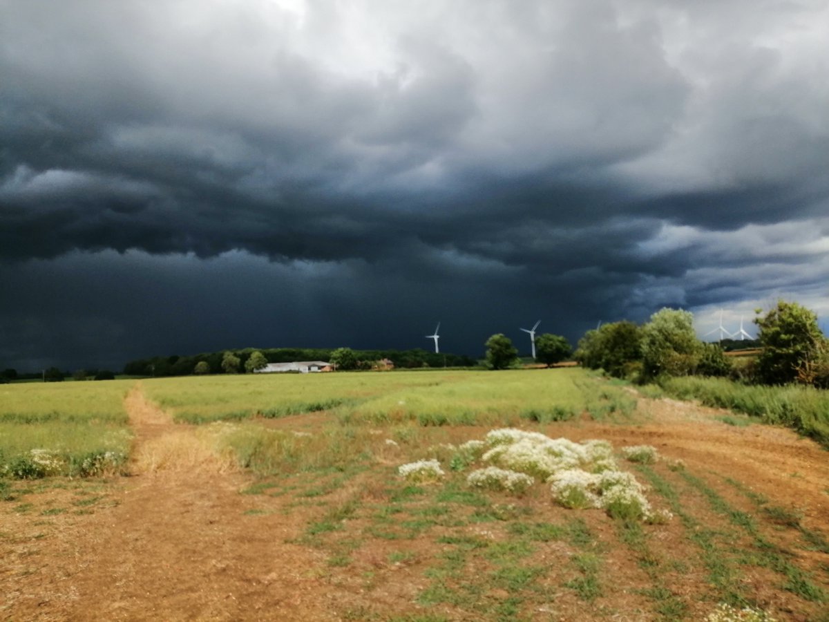 Did two walks today (10 & 5 miles) with friends (5 on each), seems strange after walking the last 9 weeks by myself. I'm glad I can walk faster these days, avoiding this storm cloud https://t.co/X2IkhwQD8V