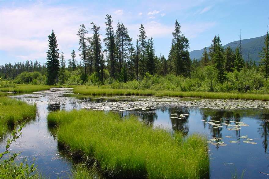 EVranch's tweet photo. If you are up to a greener and wetter kind of landscape then the grasslands may be the perfect fit for your hike or excursion. https://t.co/HgldsYKMdO https://t.co/b7gxY843jx
