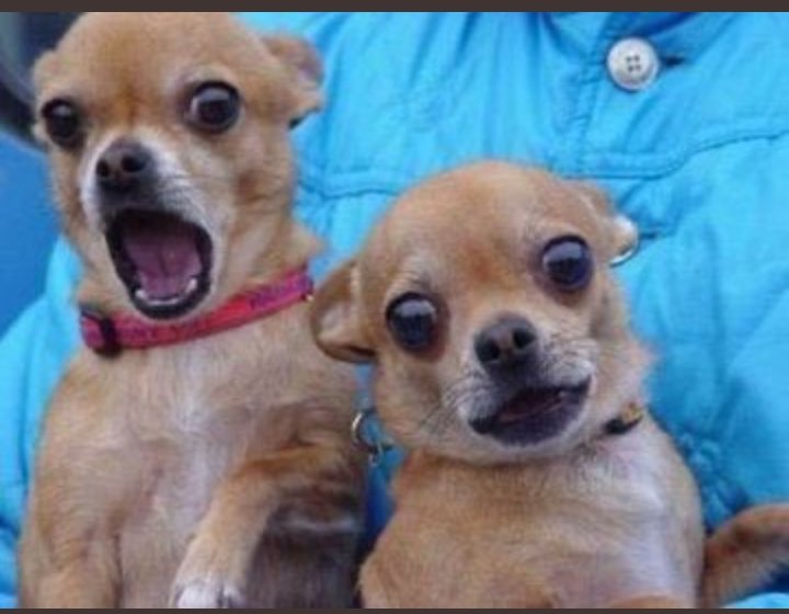 denjaflani's tweet photo. Upto nw Lilian Muli nd Waiga Mwaura still cnt blv Francis Gichuri is an Icon to kenyans
๐๐๐๐ฅ๐ฅ๐ฏ๐ฏ๐ฅ๐ฅ
#UhuruDontLiftLockdown
#6thjune
#wanjohi
#StateHouseTime
#FrancisGachuri
#Gachuri
#memesdaily
#UhuruKenyatta
#Another30
#Memes
#Orengo https://t.co/629e5wXLCq