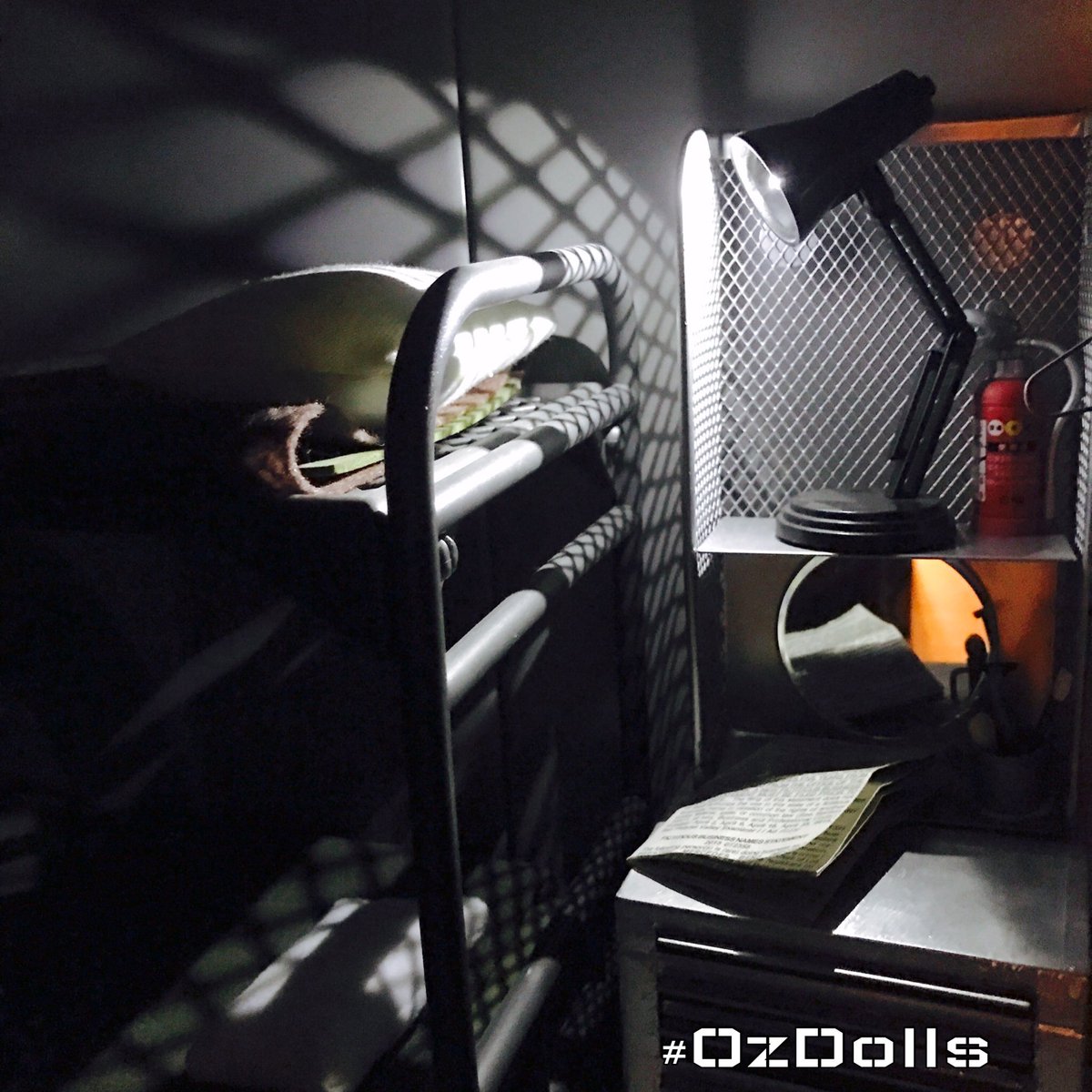 Oz Dolls tweet media