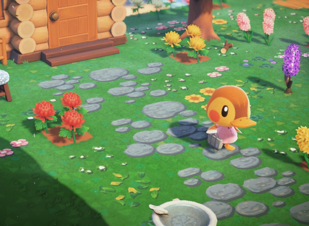 buildingwsims's tweet photo. some highlights of my island ♥️ #ACNH #AnimalCrossingNewHorizions #AnimalCrossing #Nintendo https://t.co/F4bO2xxLGm