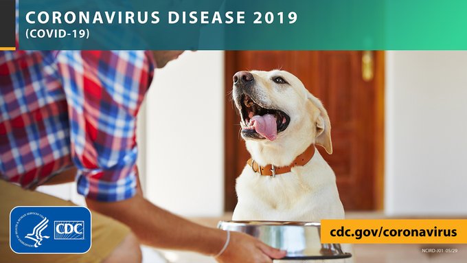 CDCemergency's tweet photo. #PetOwners: If you have #COVID19 or think you may have it, avoid contact with pets just like with human family members. Have another member of your household care for your pet, if possible. Learn more about what to do if you have pets: https://t.co/wfbIU7ugT4 https://t.co/7ju5VEX4GR