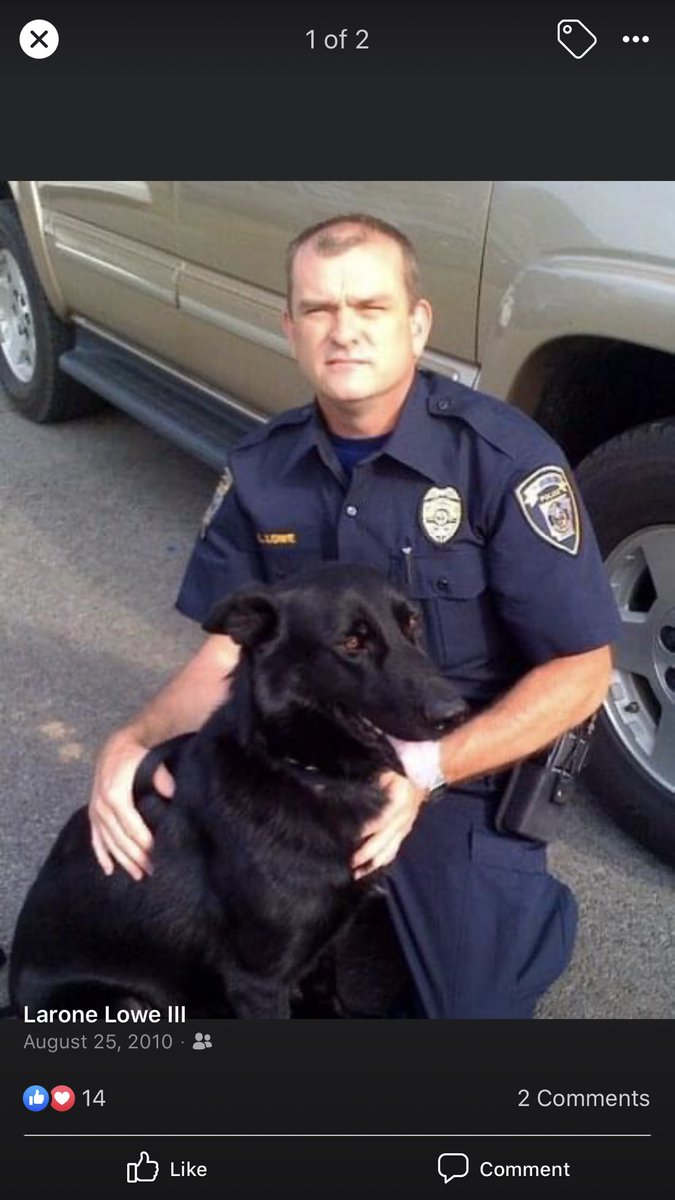 alecwilliams98's tweet image. At a Loss for words