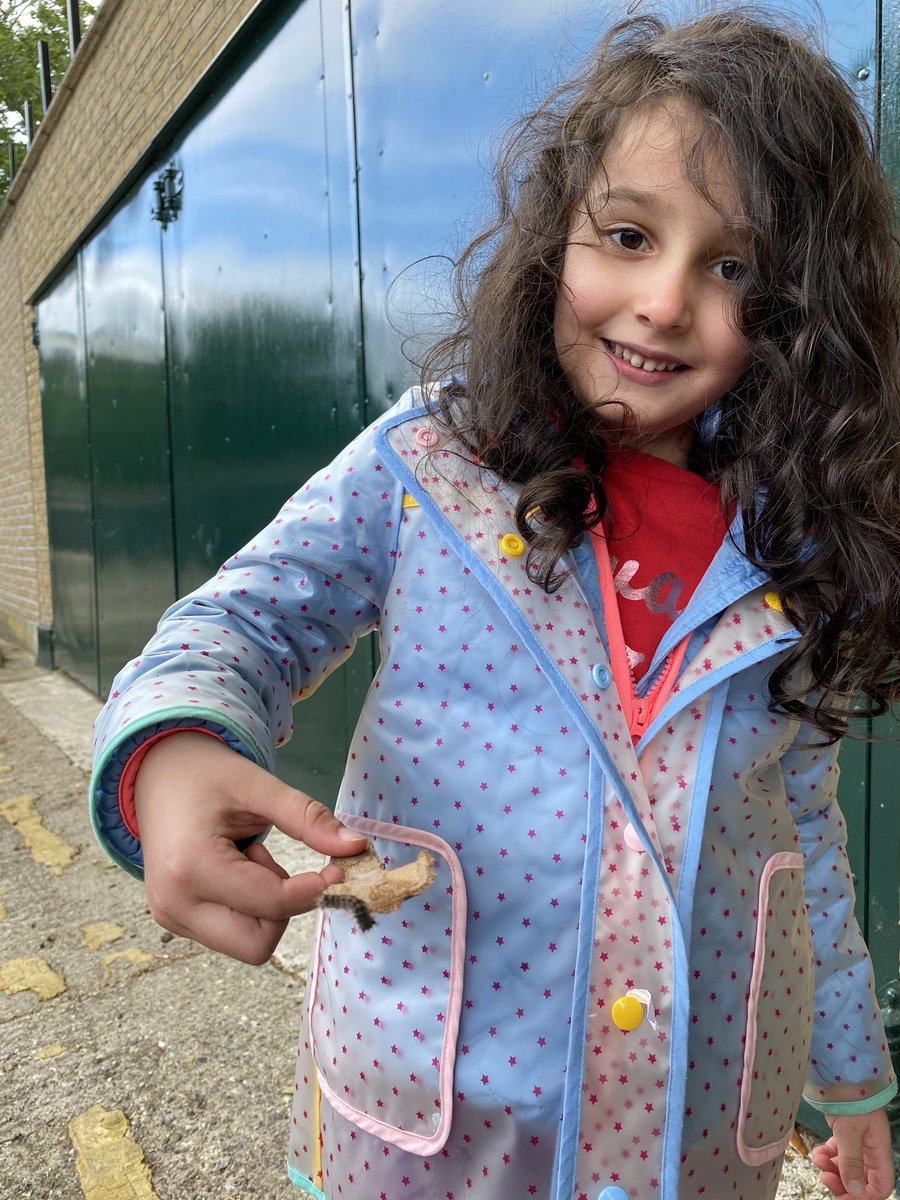 86Rui's tweet photo. @MissLinsleyHMPS minibeast project https://t.co/JFfpSh1N88