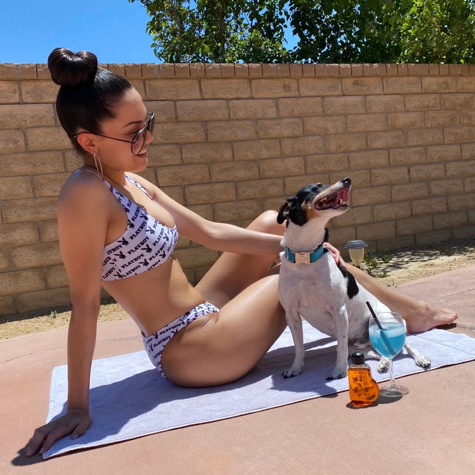 #Toki and I taking a little sun break with @Brazibronze ,so rich and amazing for sunbathing 🙌🏽😻💕... so<a href="/tag/toki"class="tags">#Toki</a><a class="tags" target="_blank" title="On Twitter" href="/?out=eyJ0eXAiOiJKV1QiLCJhbGciOiJIUzUxMiJ9.eyJpYXQiOjE3MjE4NTc3NTgsImlzcyI6InR3cG9ybnN0YXJzLmNvbSIsIm5iZiI6MTcyMTg1Nzc1OCwiZXhwIjoxNzUzMzkzNzU4LCJyZWRpcmVjdF91cmwiOiJodHRwczovL3R3aXR0ZXIuY29tL0JyYXppYnJvbnplIn0._mGThqeznpMd4swbVPYrPQOHKZrZSwpyUVjLUQhmcRmtmTMDeg6SLz-XAbWOKzyipTqjECmugqWBiQRzFSnJCw">@Brazibronze</a><a href="/tag/brazibronze"class="tags"><span>#brazibronze</span></a>