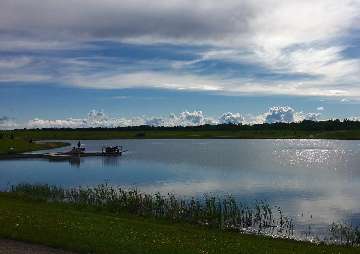 FortSaskLions tweet media