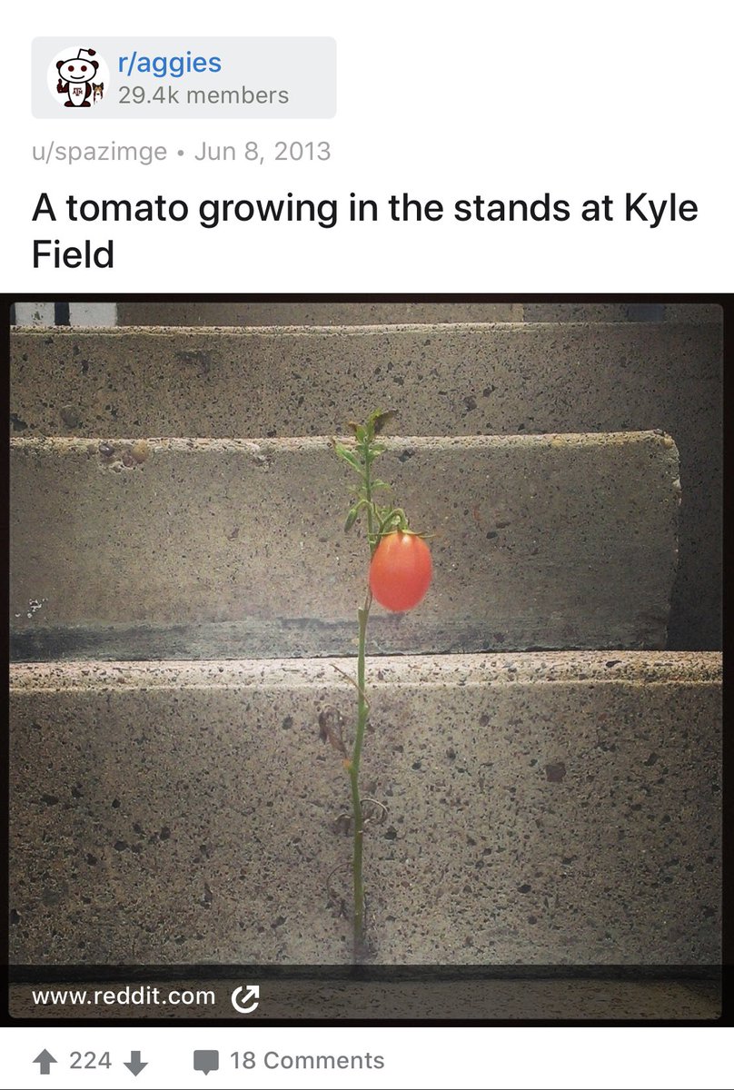 Nick Dyer tweet media