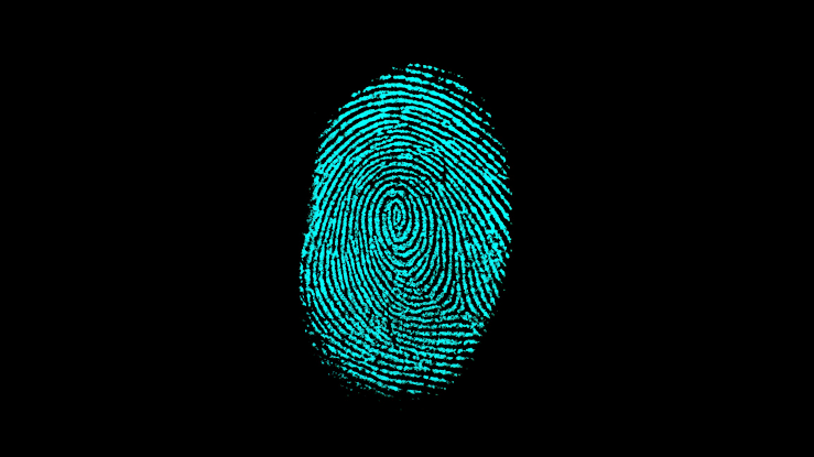 RehanElaahi's tweet photo. @Mishajutt31 mera finger print https://t.co/kYtN0h1zc9