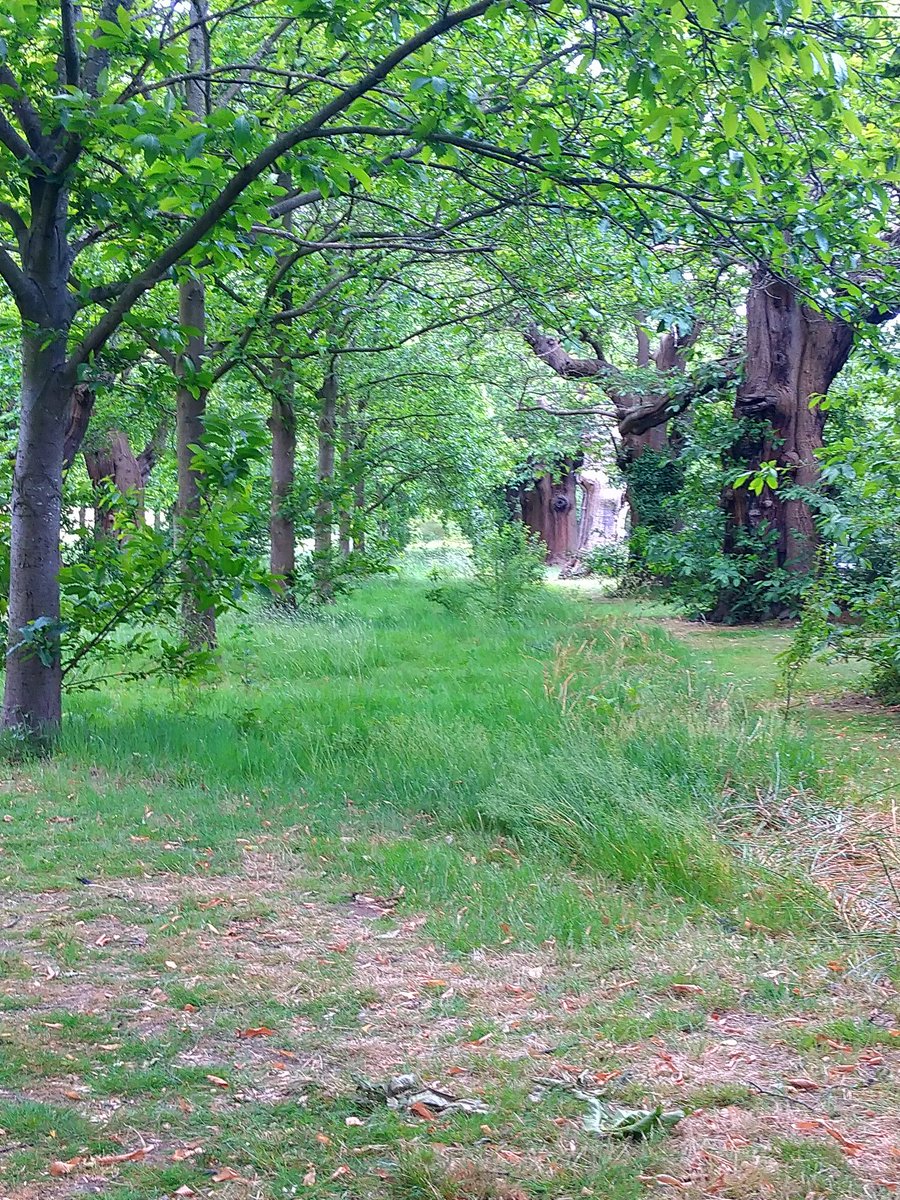 The Friends of Foots Cray Meadows (@friendscray) on Twitter photo A delightful visit to the beautiful Foots Cray Meadows today... Full of history, #wildlife and #woodland. So lucky to have such peaceful sanctuary on the doorstep #Bexley #lovesidcup @Ramblers_London <a href="/CCSidcup/">Christ Church Sidcup</a> <a href="/1stNorthCraySG/">1stNorthCraySG</a> <a href="/AllandAboutSidc/">All and About Sidcup</a> A delightful visit to the beautiful Foots Cray Meadows today... Full of history, #wildlife and #woodland. So lucky to have such peaceful sanctuary on the doorstep #Bexley #lovesidcup @Ramblers_London <a href="/CCSidcup/">Christ Church Sidcup</a> <a href="/1stNorthCraySG/">1stNorthCraySG</a> <a href="/AllandAboutSidc/">All and About Sidcup</a>