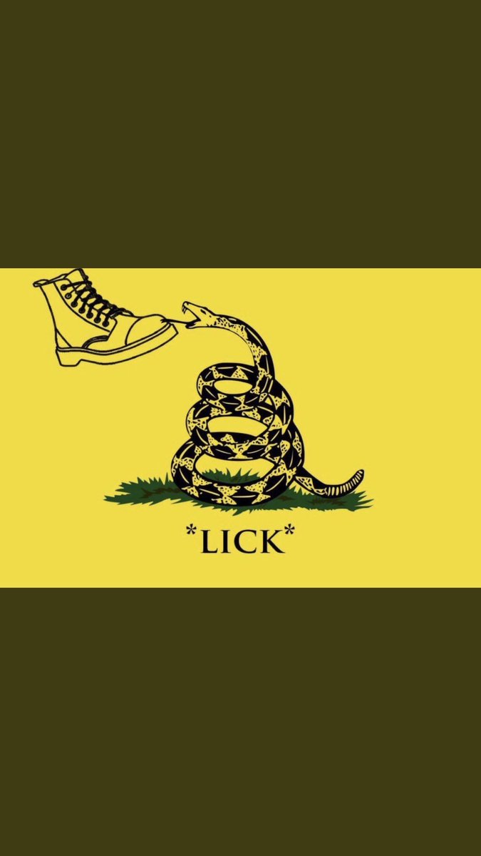 Jarad Kleinstein tweet media