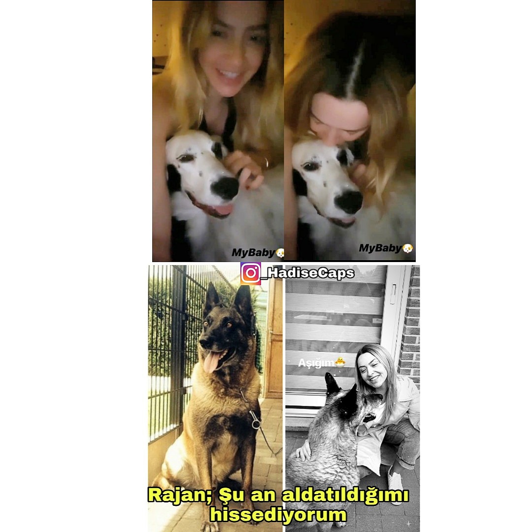 _HadiseCaps's tweet photo. Rajan jwkwka😅 @hadise #TeamHadise https://t.co/lrazwcVwGo