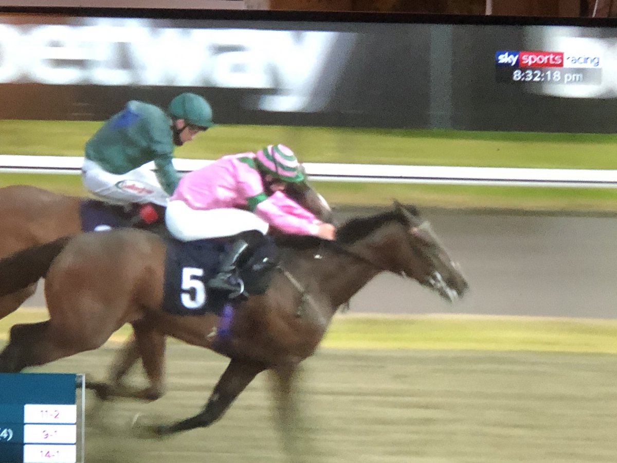 johnsonhoughton's tweet image. Billhilly gets the ball rolling, winning ⁦@LingfieldPark⁩ #onwardsandupwards #winners #teamWoodway