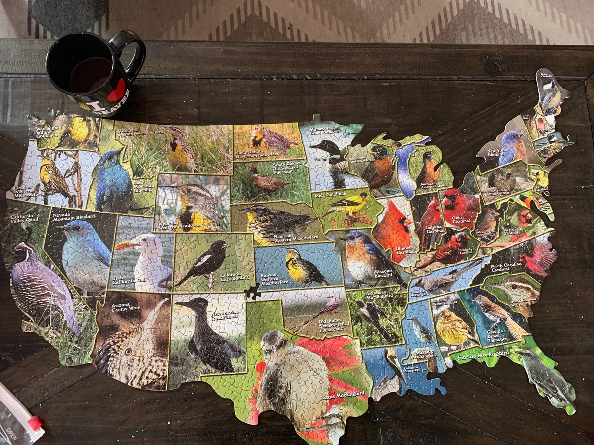 KellyGerrow's tweet image. I finished my official state birds of America puzzle! It was short 2 pieces but helped me better understand the geography of America. I want to share my observations of the distribution of state birds and of the silliest puzzle I have ever constructed. #APuzzler #MapPuzzle