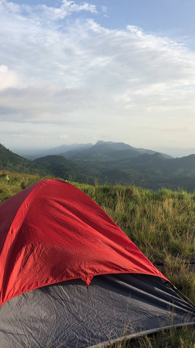 bobpixel's tweet image. 