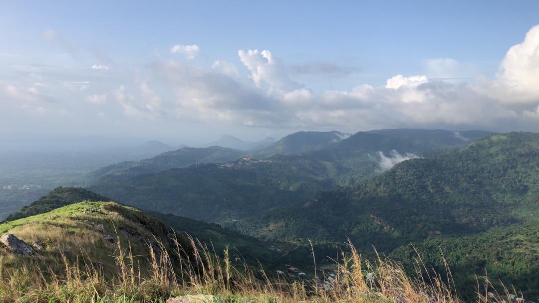 bobpixel's tweet image. 