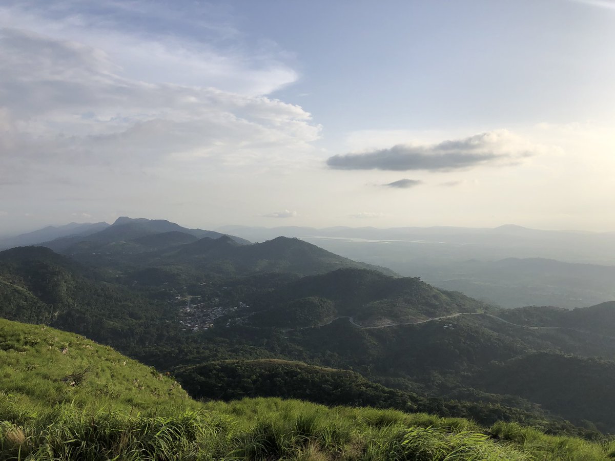 bobpixel's tweet image. 