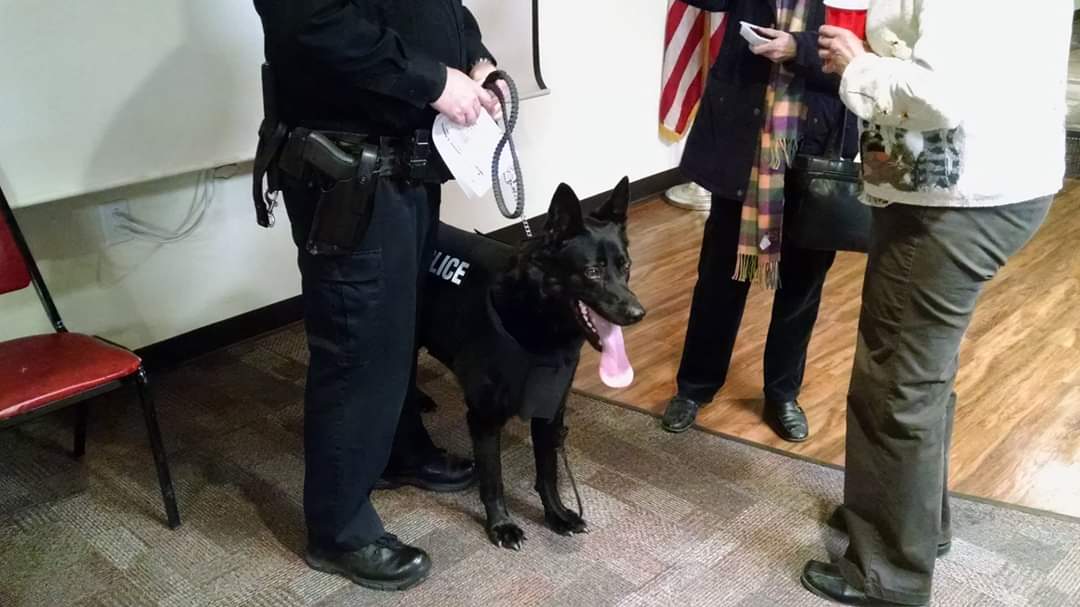 k9sofvalor's tweet photo. K9 Phantom
EOW: 6-6-2020
K9 Ofc Cleaver
The @DaytonPolice is mourning the loss of one of their own, 9yr old K9 Phantom. Phantom died unexpectedly while on duty. He was the dept's longest serving K9. He served proudly &amp; heroically for 7yrs. He will be missed. Rest easy K9 Phantom. https://t.co/Q5MWjlAe6T