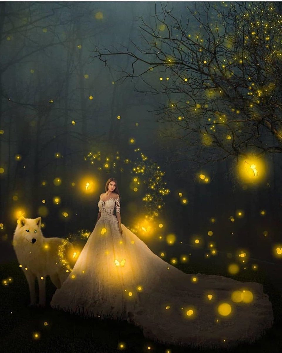 Bettina Schroeder tweet media