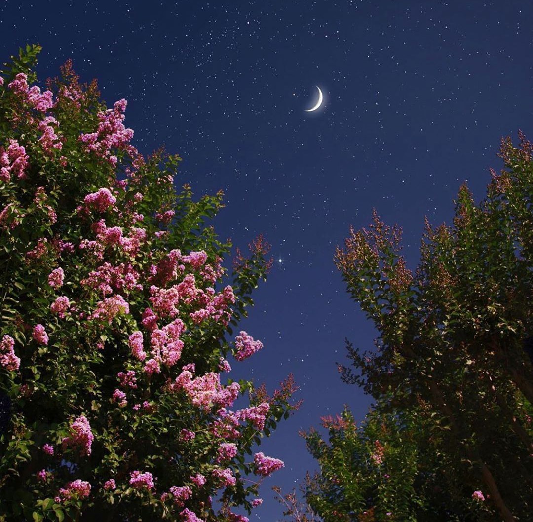 <a href="/NataliyaVF/">NataliyaVF</a> ❤😘🎇❤😘🎇❤Love❤and💙Peace💙always🙏
Dearest🌹Nataliya❤may we never lose🙏
Our🙏Beliefe and Hope❤😘🎇❤😘🎇❤