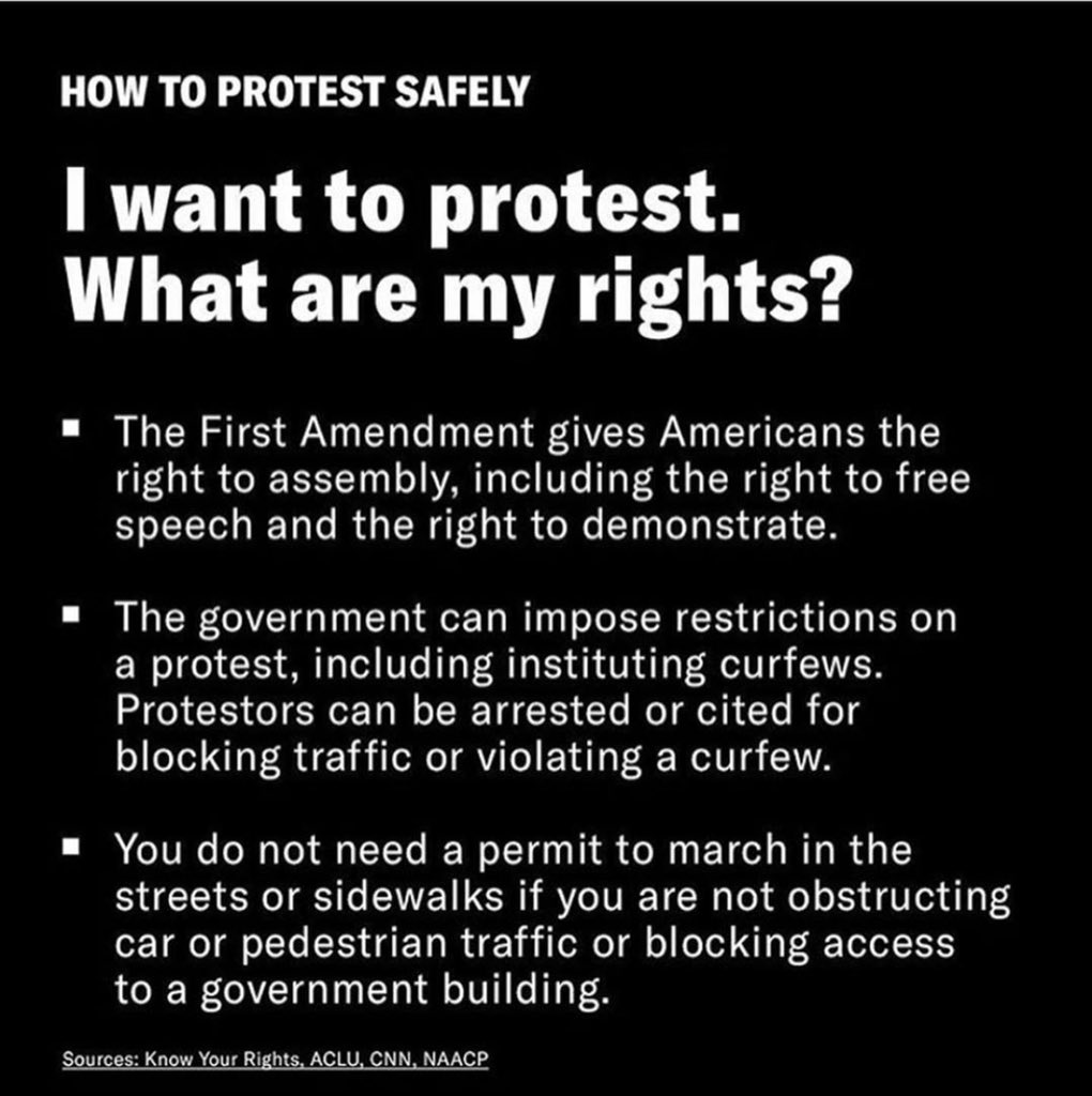 jasonantoon's tweet image. Know your rights. #protestsafely  #blm