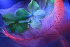 Semra Sevimli tweet media