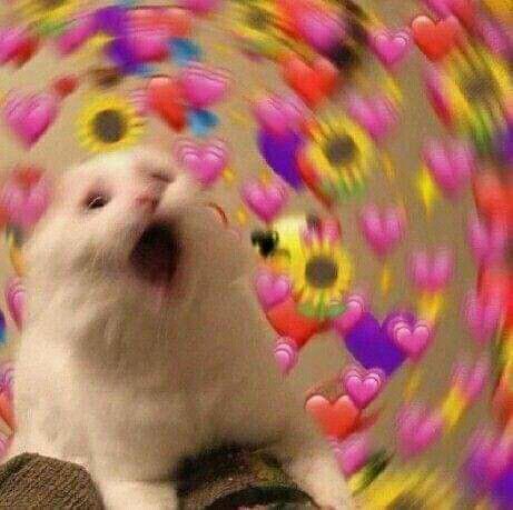 sprite_jhp's tweet photo. Falta poco para que llegue a los 1500 seguidores🥺
LLORO corazónes https://t.co/069bBFK6fM