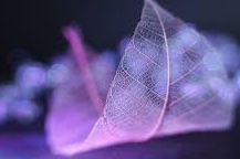 Semra Sevimli (@semrasevimli44) on Twitter photo 