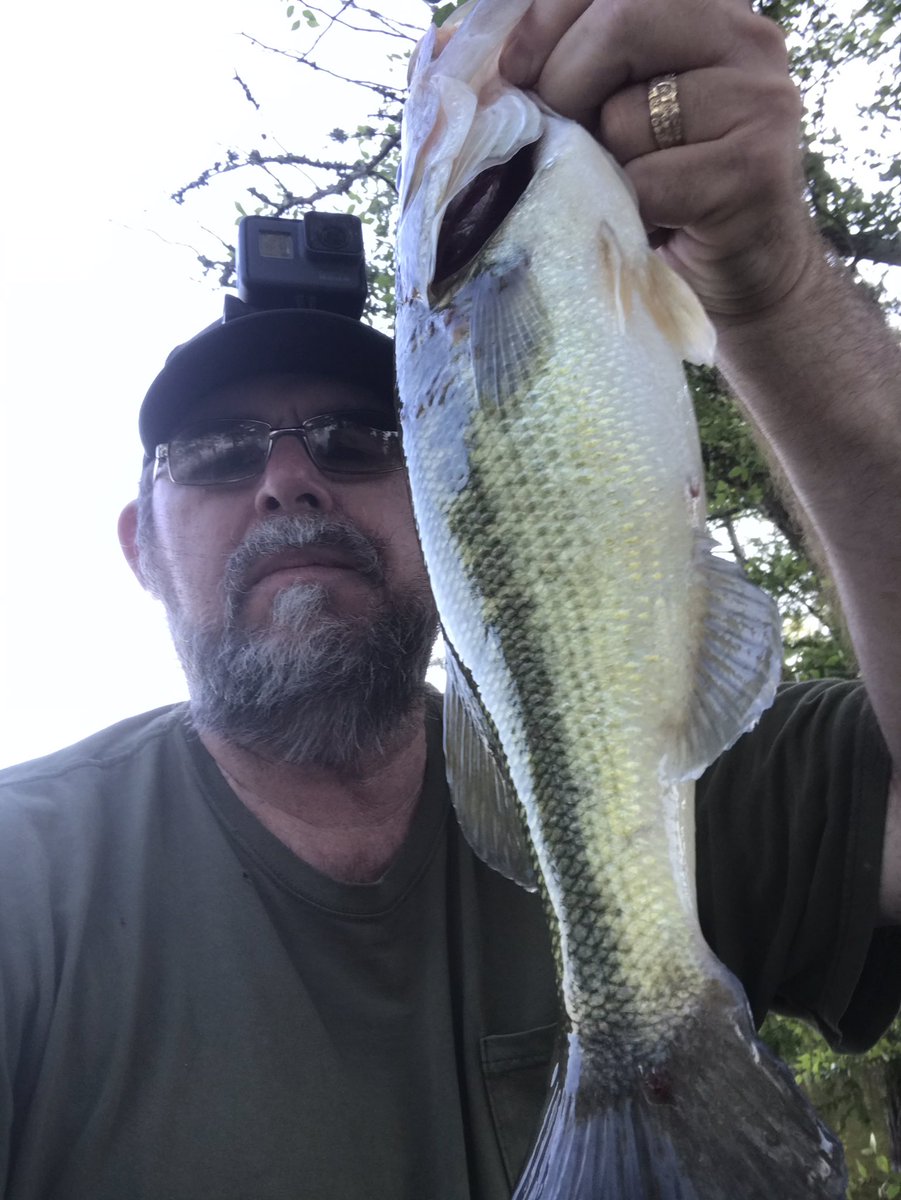 richardfaircl17's tweet photo. Awesome day of fishing π£ #bassreaperbaitco #marteaselures #titantungsten #vectorhooks https://t.co/bsVJBWz4Ay