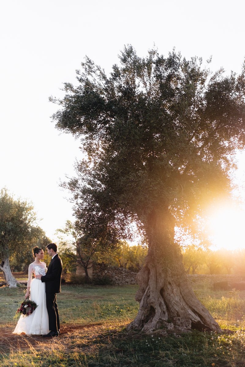PaolaLattarini's tweet photo. I’m really happy to announce the launch of my new website. It’s the beginning of a new chapter of my life and i can’t be more excited. 
https://t.co/fWg3oTKYkZ 
#wedding #weddingphotographer #weddingseason #elopement #Website #bride #bridetobe #destinationwedding #weddinginspo https://t.co/H5Y2mxhQlW