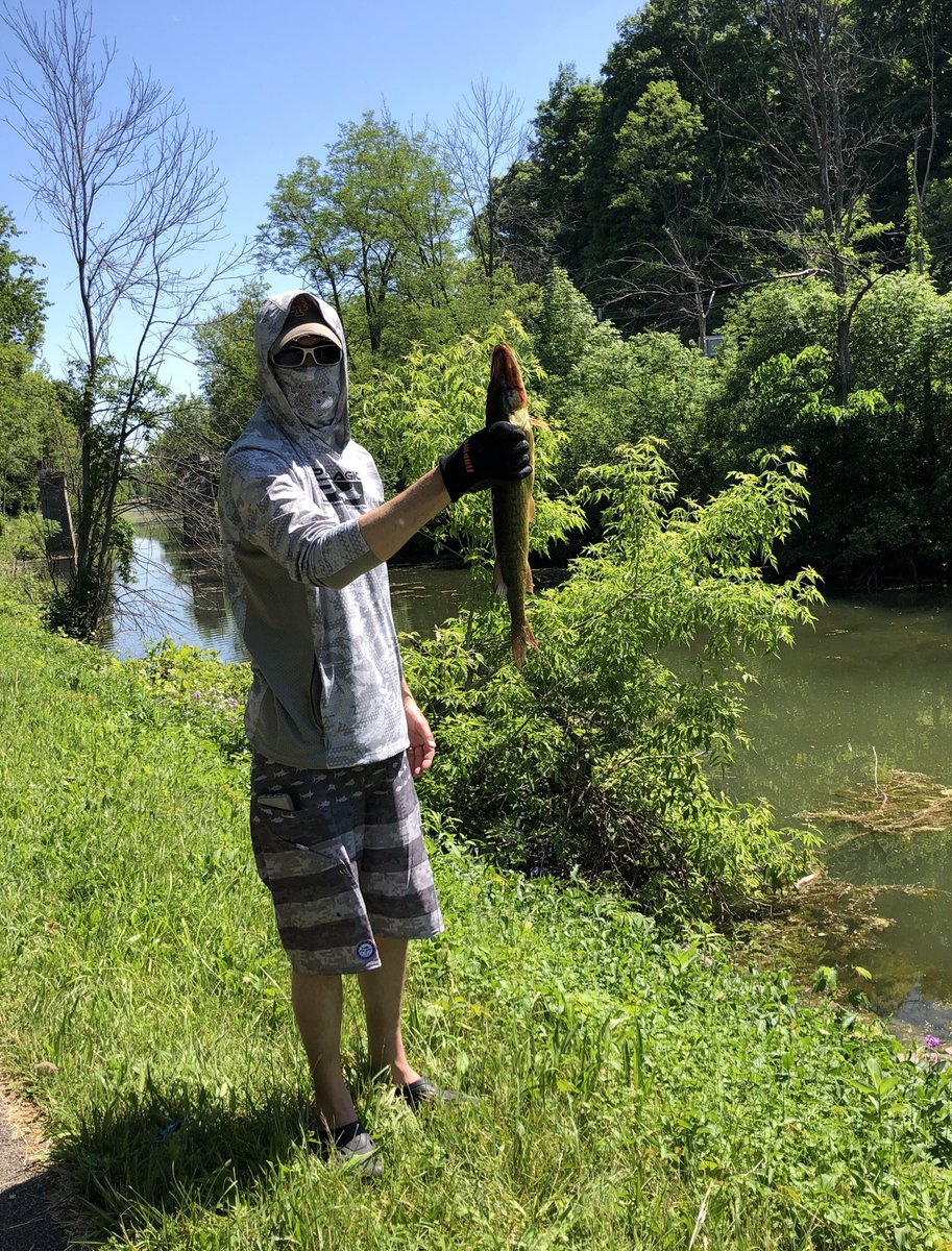 FadedFishin's tweet photo. First catch of the season. 1- Northern Pike, 1- Pickerel, 1- Large Mouth Bass 🤙🏻🎣 @Chizzle315 #CNY #FadedFishin https://t.co/J65VSBUbxY