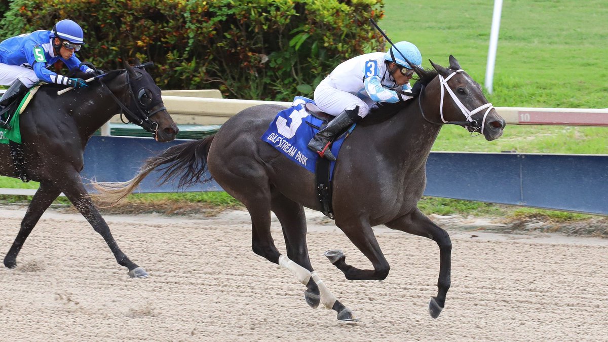 Chris Pipito Pipitochris Twitter