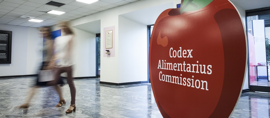 FAOWHOCodex's tweet photo. 🍎 | #Codex works every day to ensure safe, good quality food for everyone, everywhere.
➡️ https://t.co/HVJDuRkMn0
#WorldFoodSafetyDay https://t.co/gZYO6WHAkd
