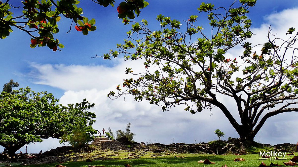 Coconut Island

#hawaii #bigisland #bigislandofhawaii #HawaiiIsland #CoconutIsland #MokuOla #Hilo