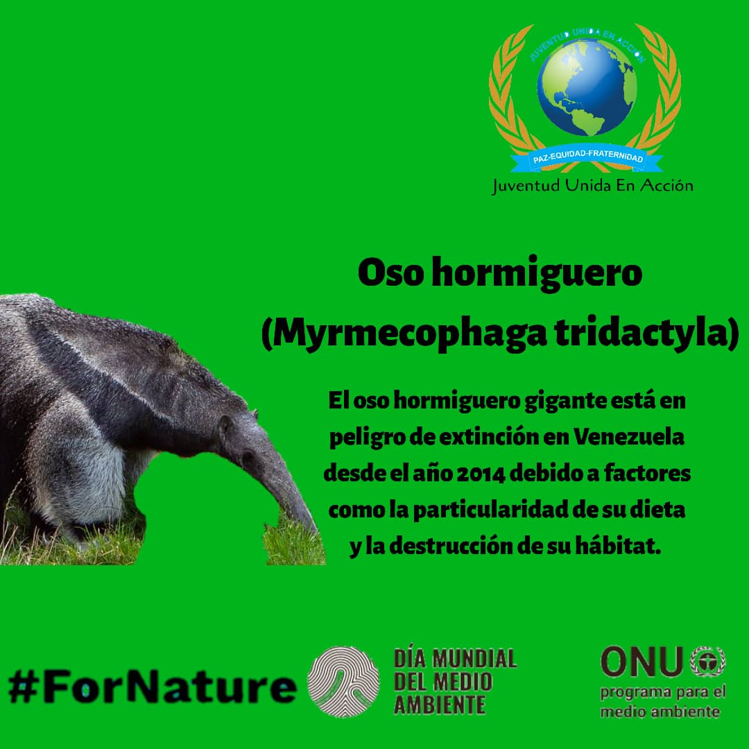 fundacioncelta's tweet photo. https://t.co/61D4v2SKwq