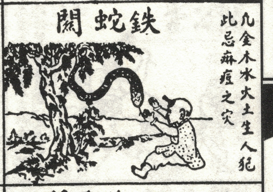 65b. Readers should note the text used is extremely similar to ones that are found in Hong Kong Almanacs. Here is a comparison of the entry "Iron Snake Gate" found in the 廣經堂 (Guang Jing Tang) almanac with the one found on his website.  https://web.archive.org/web/20200607020509/http://taoist-sorcery.blogspot.com/2017/03/children-evil-gates.html