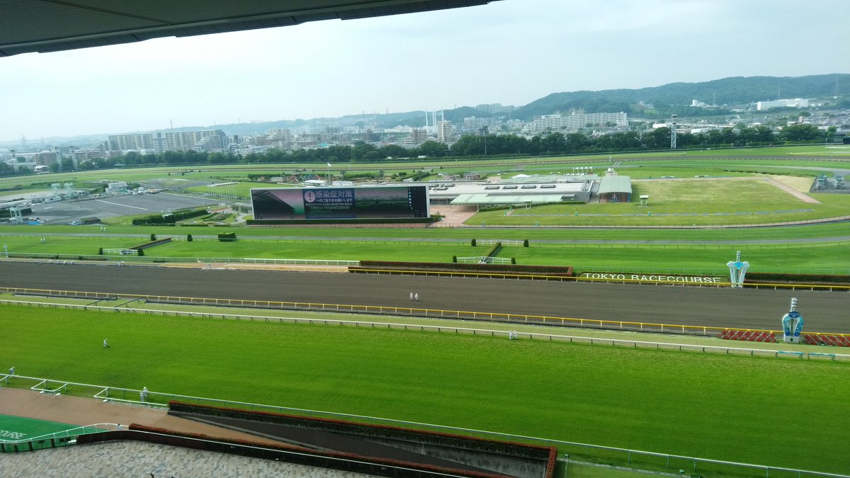 中央競馬実況中継 Twitter Search