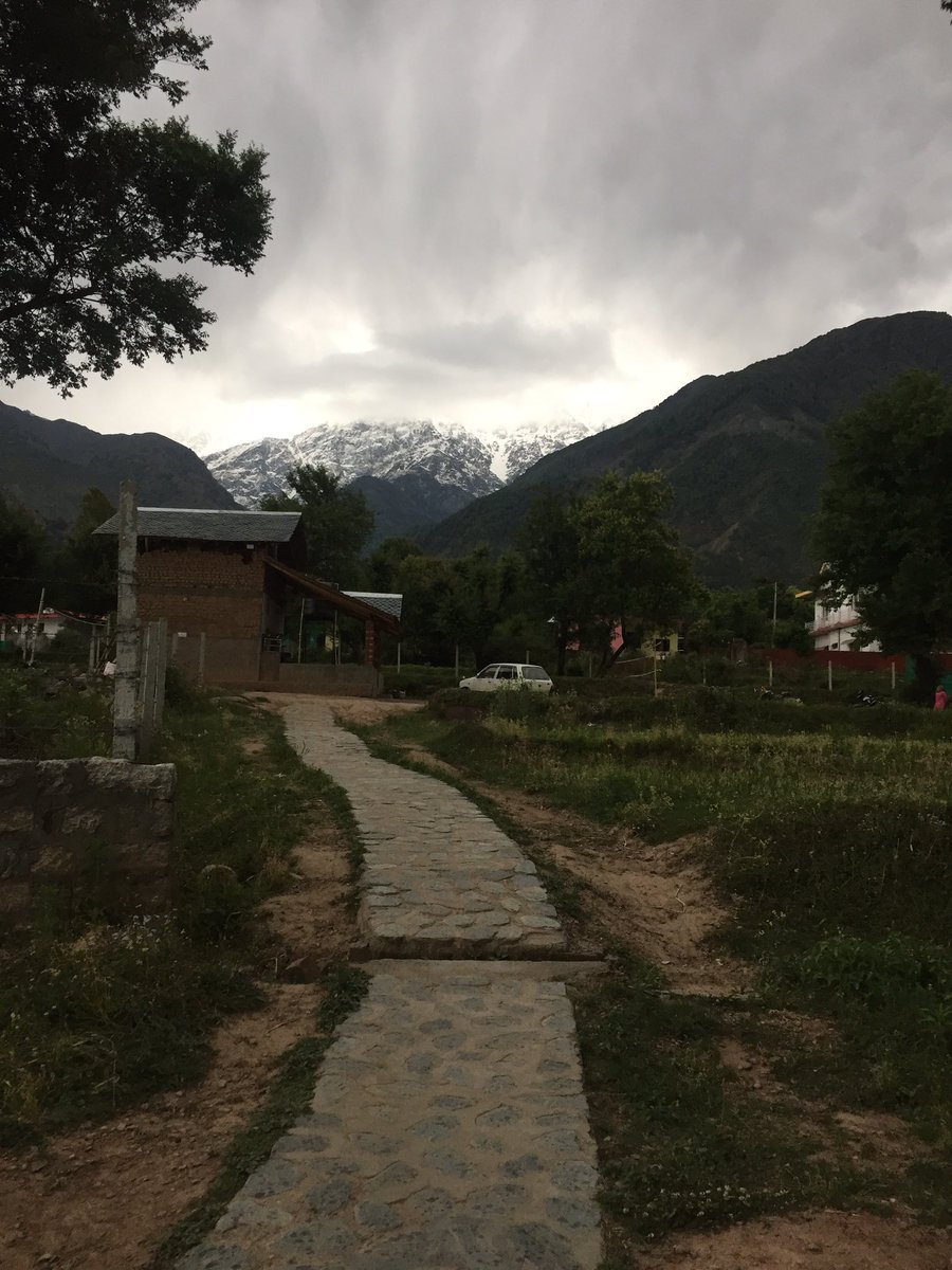 Dnegeyra_ tweet media