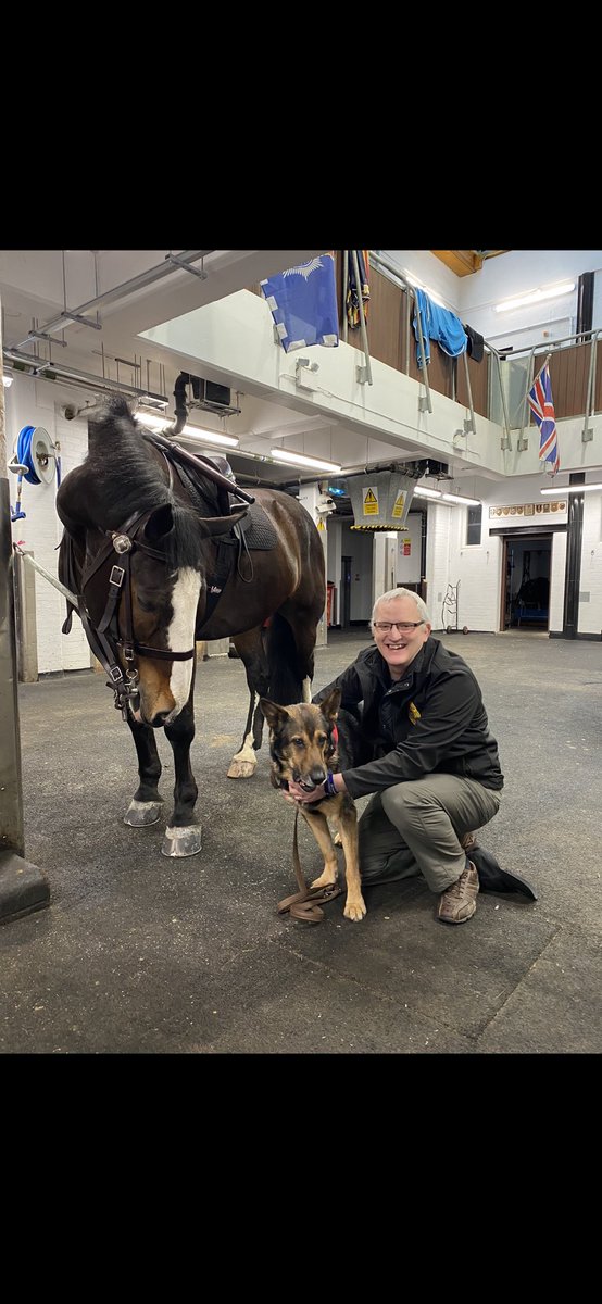 K9Finn's tweet image. Ladies &amp;amp; gentlemen, all the horse are home, watered, fed &amp;amp; in bed❤️
As @SkyNews quite rightly reported, normally dressed officers came under heavy missile attack outside Downing Street. The horses were sent to push that violence away from those officers. They did a great job👍🏼🐾