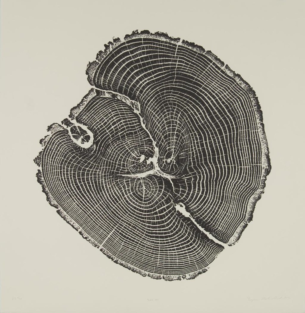 mslima's tweet photo. This article on dendrochronology (https://t.co/yda0PMoIjR) made me think of the absorbing work of the late artist Bryan Nash Gill, who collected dead tree sections that he used for relief printing. Many of these pieces were featured in his 2012 series Woodcut.

#art #trees https://t.co/nssNZAeMtN