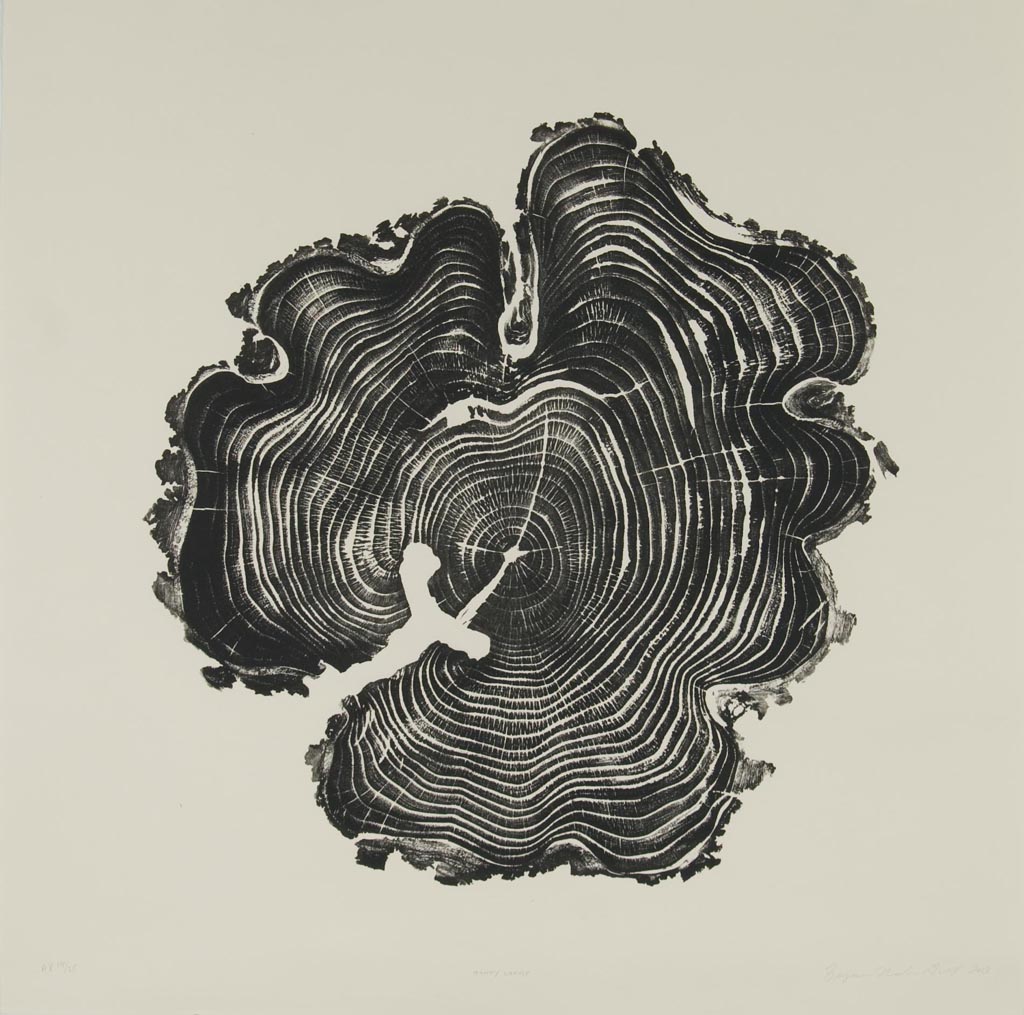 mslima's tweet photo. This article on dendrochronology (https://t.co/yda0PMoIjR) made me think of the absorbing work of the late artist Bryan Nash Gill, who collected dead tree sections that he used for relief printing. Many of these pieces were featured in his 2012 series Woodcut.

#art #trees https://t.co/nssNZAeMtN
