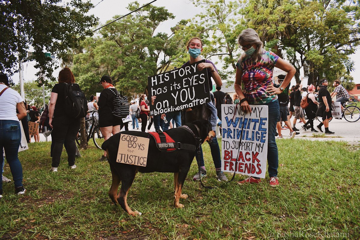 thread of very good dogs protesting for justice