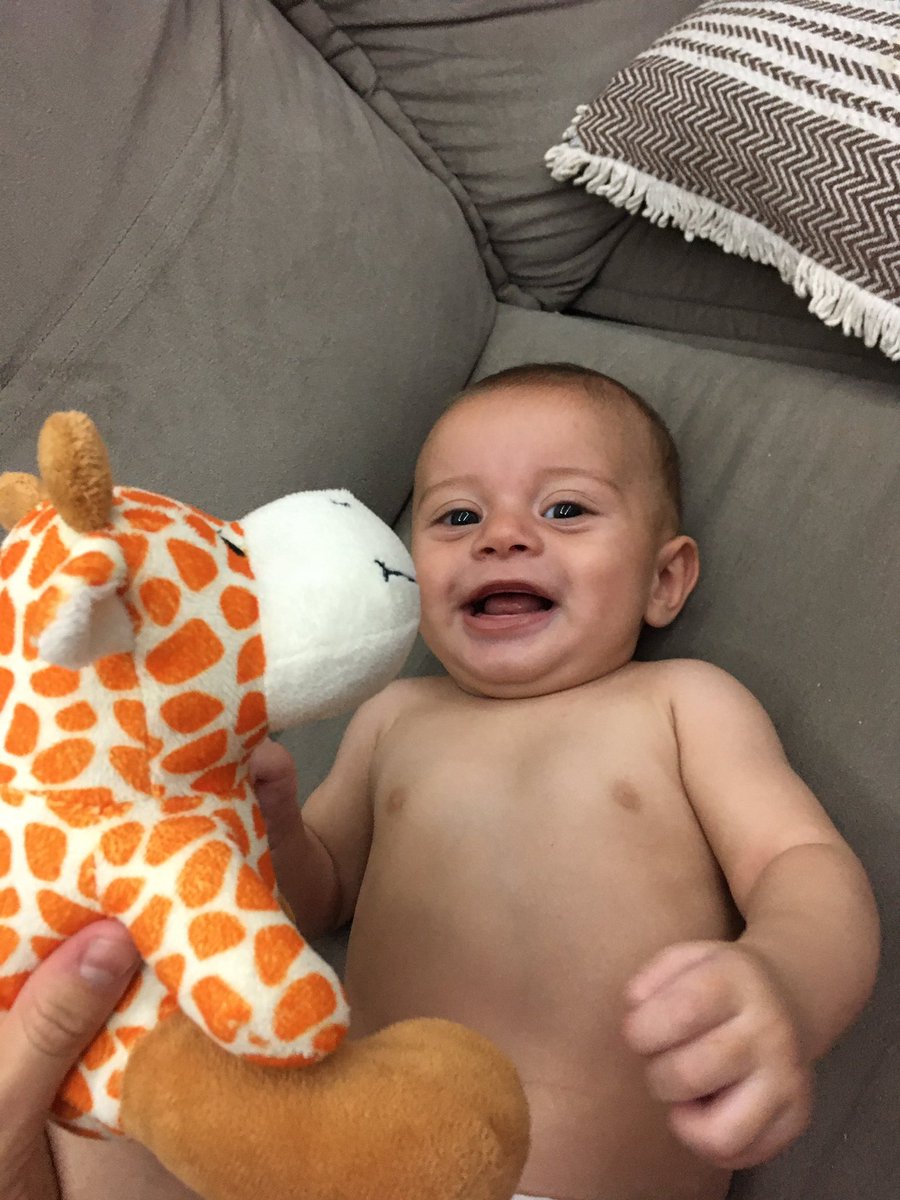 old que o pedro tb é girafinha