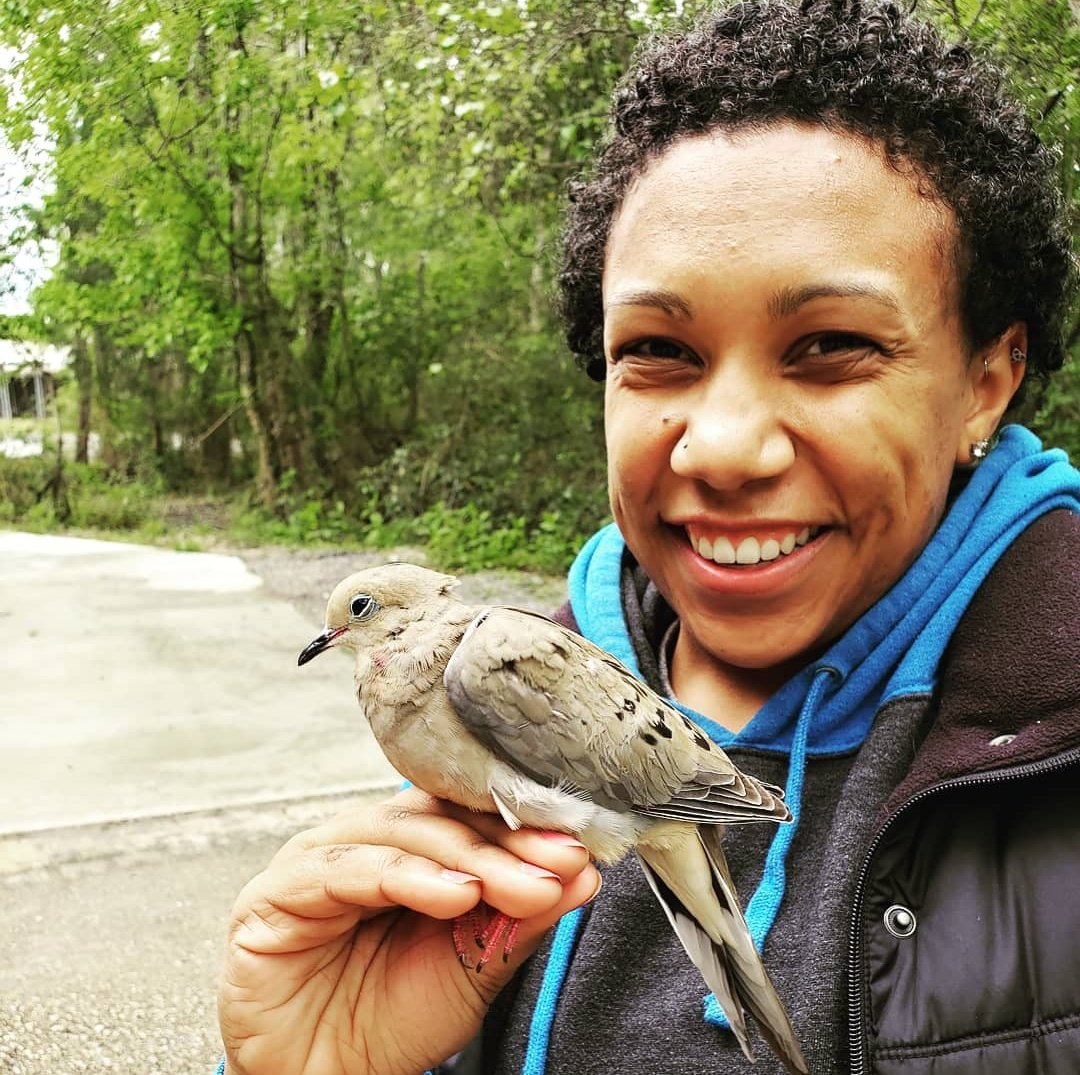 #BecauseOfBlackBirdersWeek
We brought attention to issues. surrounding being Black and outdoors.
We brought attention to Black people who love and work in nature.
We brought about a conversation with allies to start making a change.
#BlackBirdersWeek #BlackAFinSTEM <a href="/BlackAFinSTEM/">BlackAFinSTEM</a>