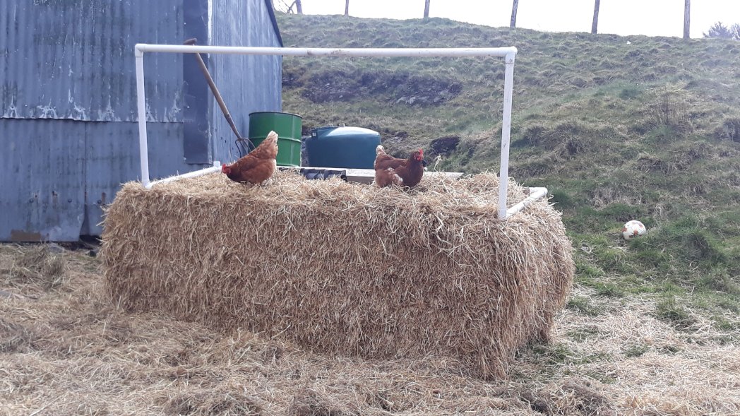 Day 3/7 of #mylifeinpictures No words, no people. Nominated by 
<a href="/GDCTRYFILWBC/">Ioan Roberts, Tryfil</a>
I nominate <a href="/dan_pwll/">Daniel Roberts</a>
Diwrnod 3/7 o #fymywydmewnlluniau dim geiriau, dim bobl.
