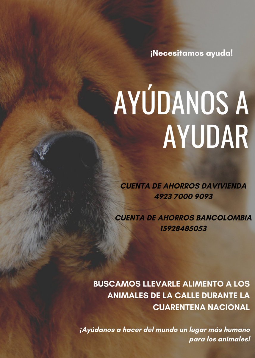 ayudandoayudar1's tweet photo. #BlackLivesMattters

¡Con tu donación ayúdanos a hacer del mundo un lugar más humano para los animales! https://t.co/M472rpzQ0e