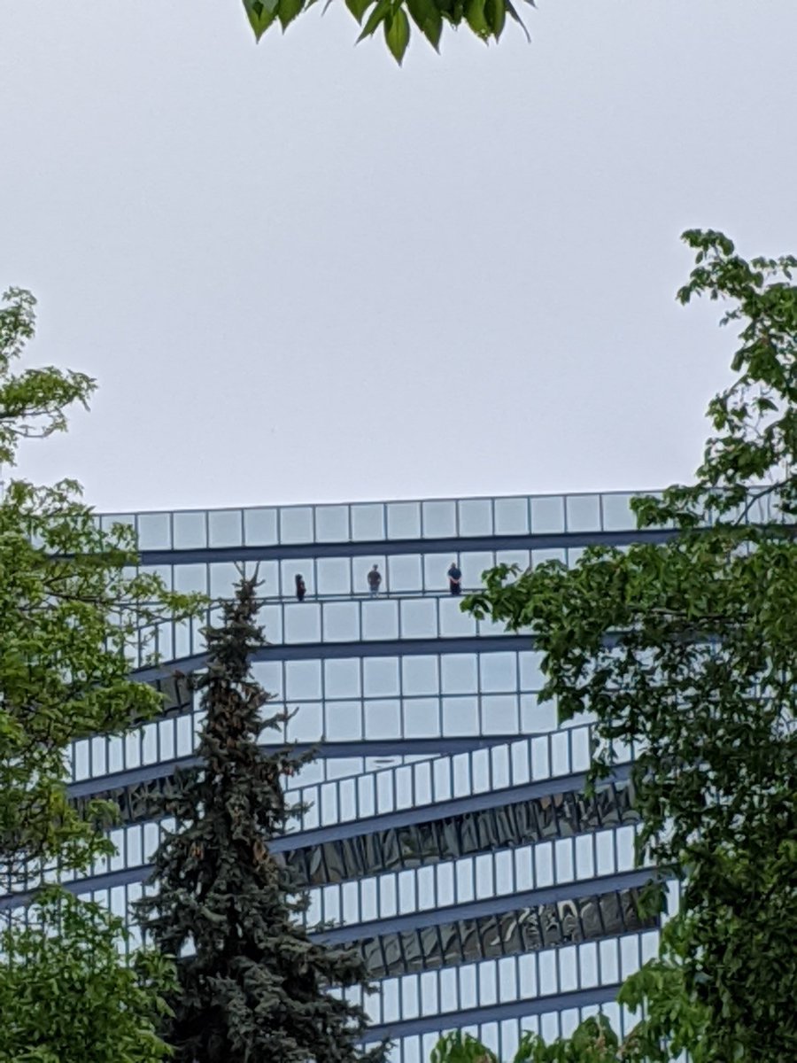 TheeKatryna's tweet image. They're on top of the buildings. #calgaryprotest #yycprotest