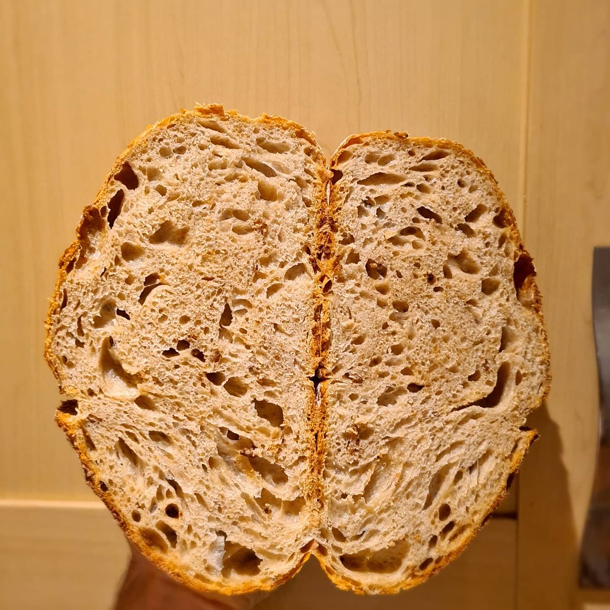 kon_cook's tweet photo. Made this beauty today. 70% white 30% granary. #foodphotography #foodporn #food #foodiesofinstagram #foodstagram #bread #levain #levainbread #sourdoughstarter #sourdoughbread #sourdough #cheflife #chef #cheflifeonlockdown #truecooks https://t.co/lL9cOnYL9Q
