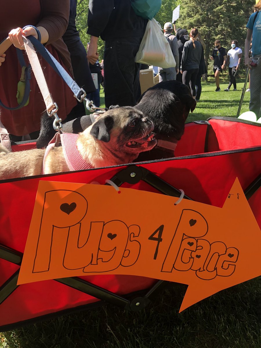 thread of very good dogs protesting for justice