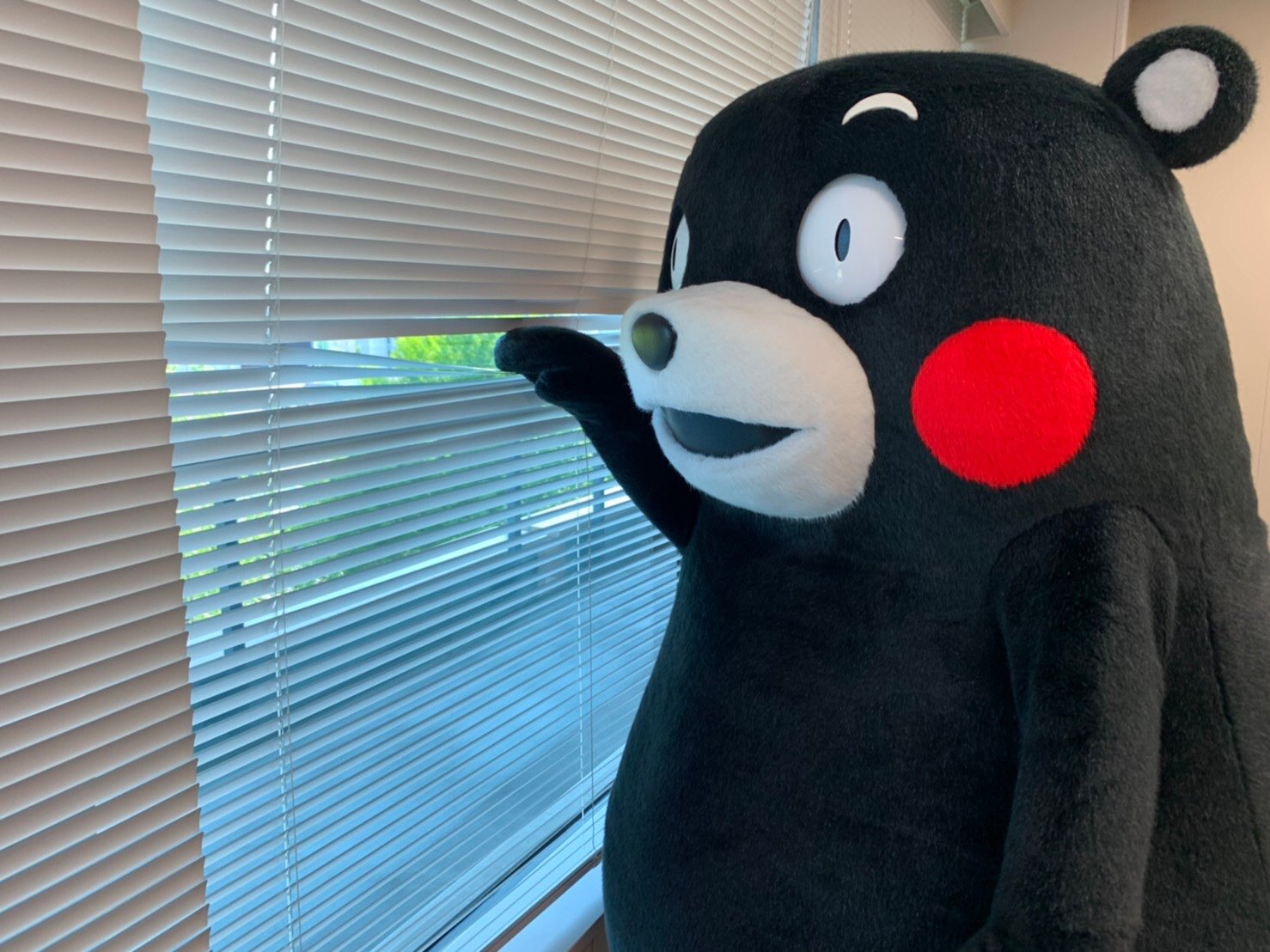 くまモン 公式 おはくまっ 今日の13時からインスタとyoutubeで モンスタライブ ば生配信するモン ピッチピッチ チャップチャップ モンモンモーン 今年の梅雨もみんなと一緒に楽しむモーン インスタグラム T Co Vvjikenwcw Youtube