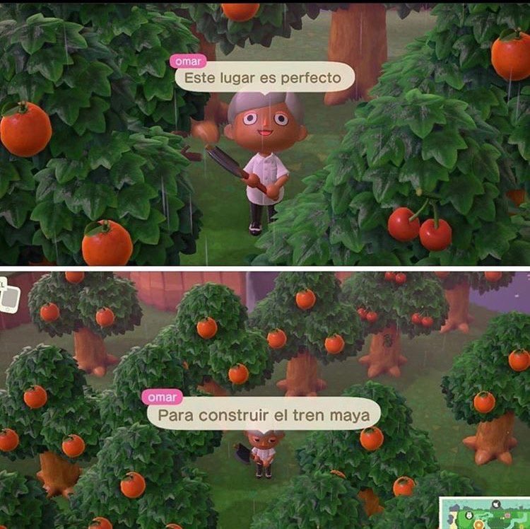 #CásateConmigoInternet